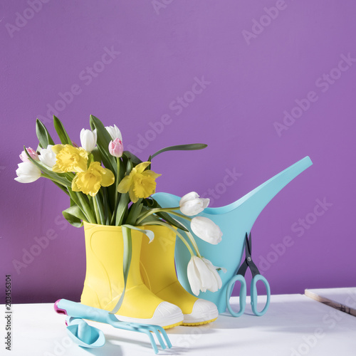 Fototapeta Naklejka Na Ścianę i Meble -  the Yellow rubber boots with a bouquet of flowers of yellow daffodils and white and pink tulips. Garden accessories.