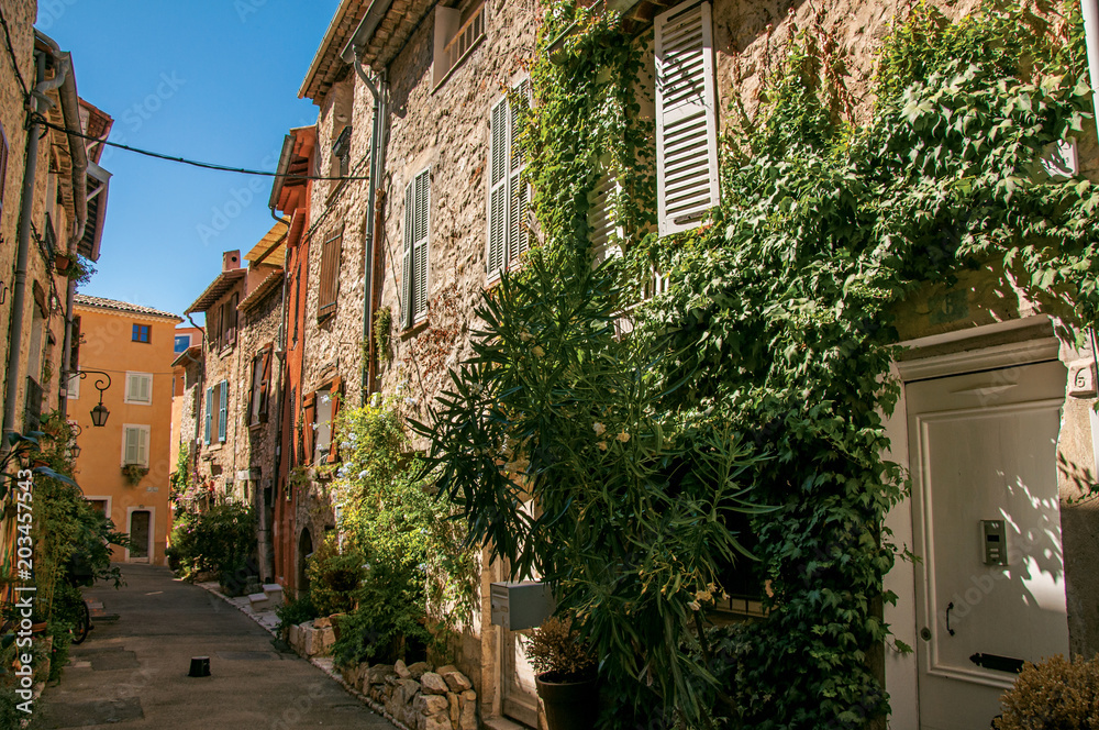Alley view with stone houses and plants under sunny blue sky in Vence, a stunning medieval hamlet completely preserved. Located in the Alpes-Maritimes department, Provence region, southeastern France