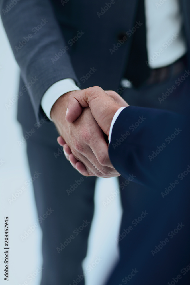 Handshake business concept Handshake business concept