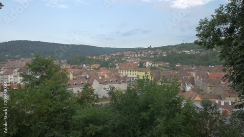Wallpaper Mural Buildings seen behind branches Torontodigital.ca