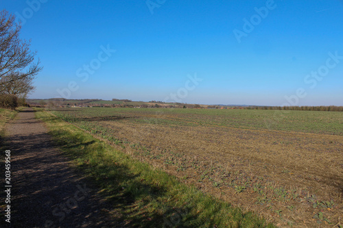 Countryside field on a sunny day