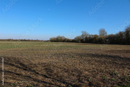 Countryside field on a sunny day