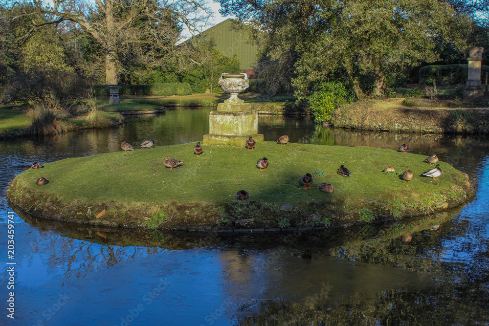 Fototapeta premium Central river island with ducks swimming