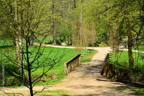 Walk path through the green park in a sunny day. Vlasim castle park.