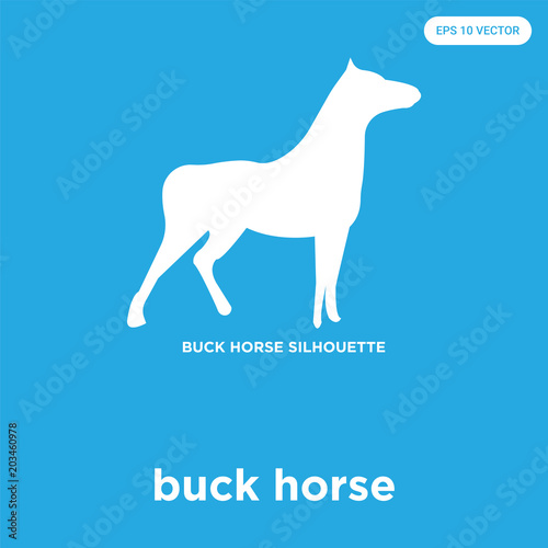 buck horse icon isolated on blue background