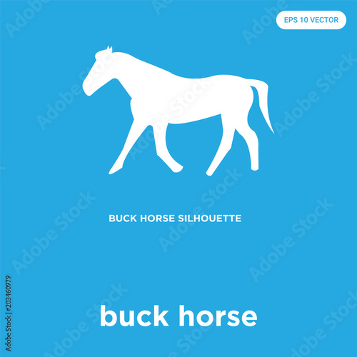 buck horse icon isolated on blue background
