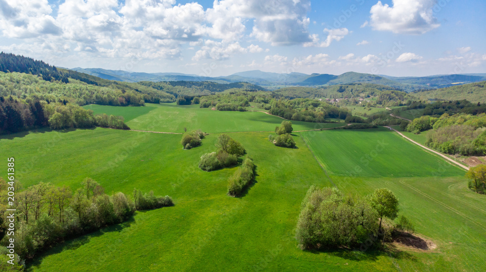 Fototapeta premium vue aérienne sur la campagne verte avec des bosquets d'arbre