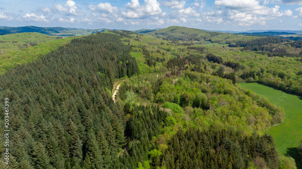 vue aérienne sur les forêts du Jura 