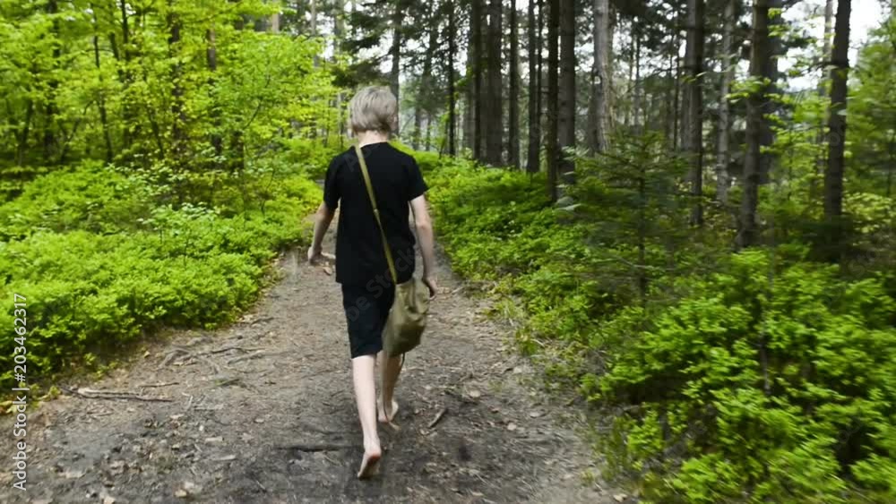 Child boy walking barefoot through the summer forest
Child boy walking barefoot through the summer forest