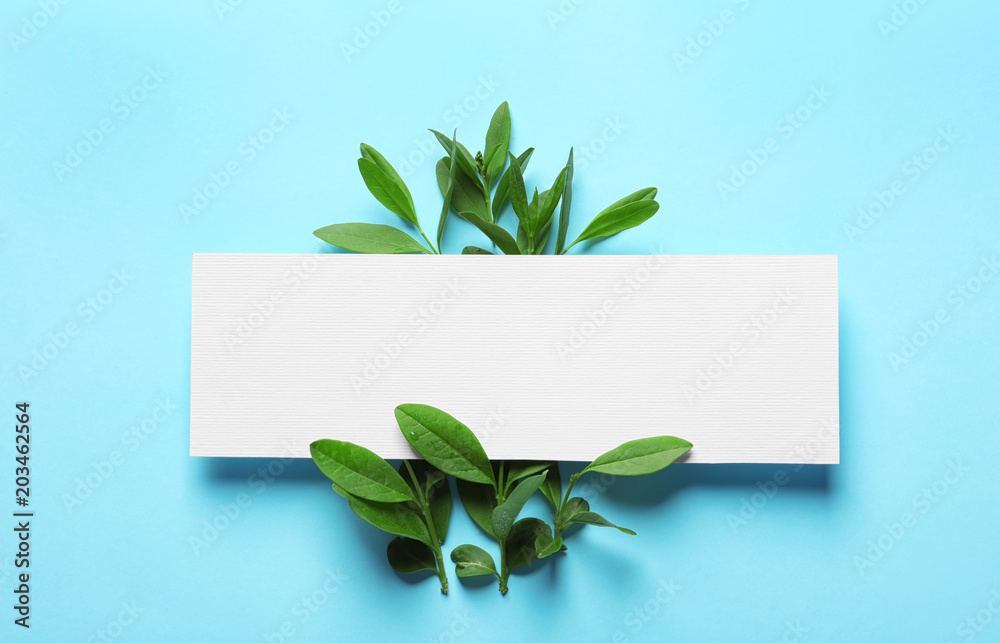 Blank card with green leaves on color background