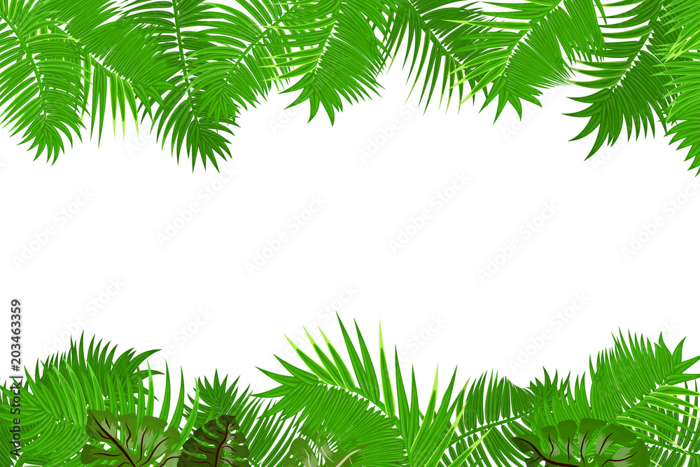 Web summer jungle frame banner. Green palm leaves template isolated white background. Vector abstract illustration. Realistic picture summer tropical Paradise mock up.