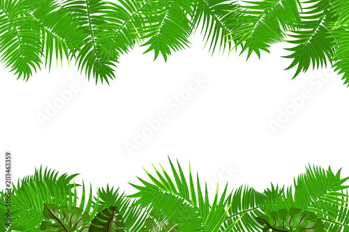 Web summer jungle frame banner. Green palm leaves template isolated white background. Vector abstract illustration. Realistic picture summer tropical Paradise mock up.