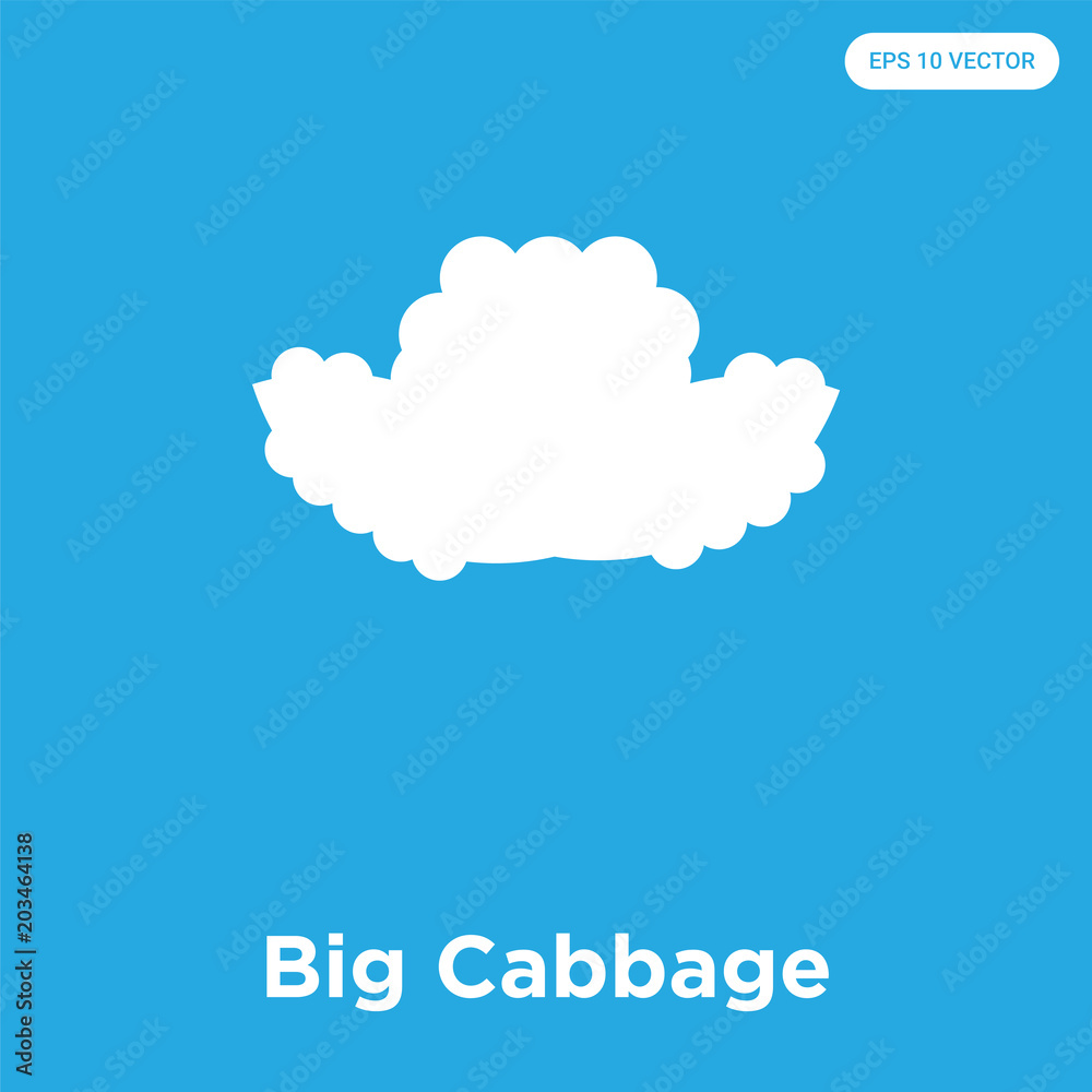 Big Cabbage icon isolated on blue background