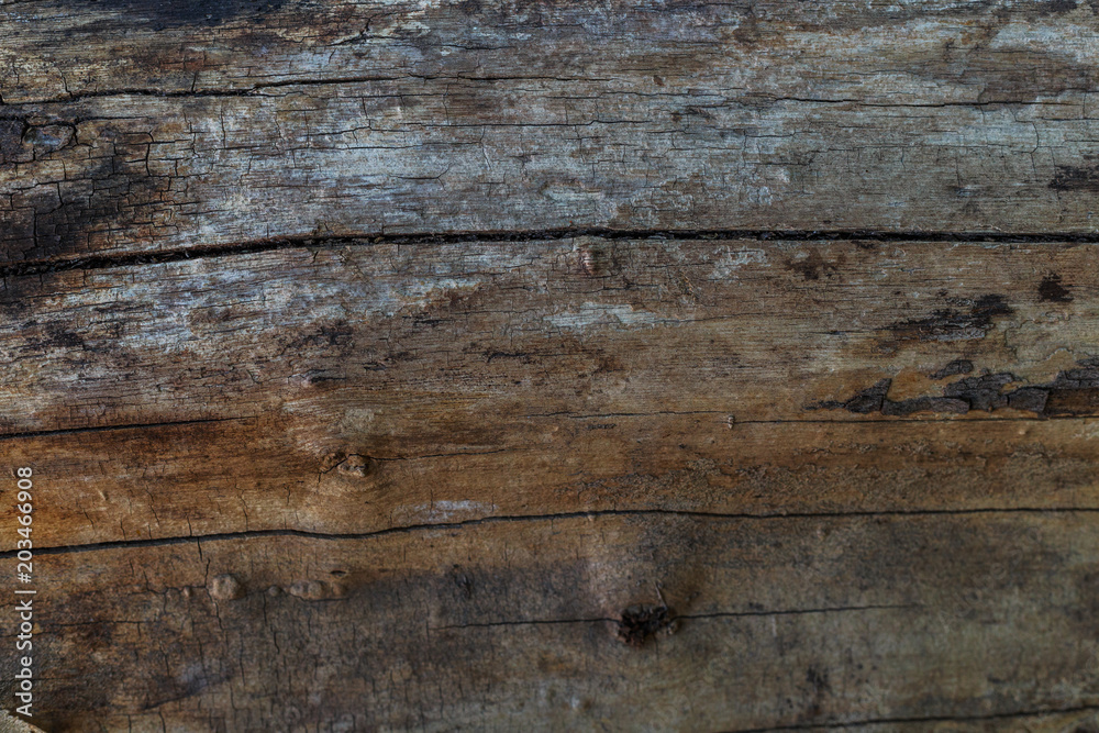 old wood texture old wood texture