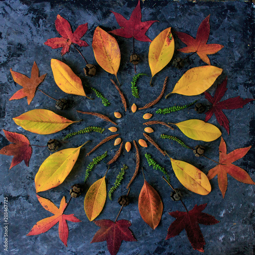 Autumn leaves in mandala shape flat lay on dark background. Natural meditative technic for calm down