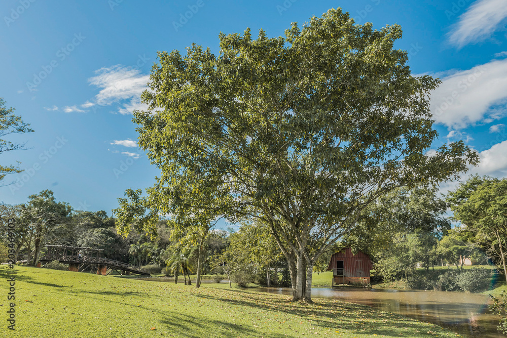 Fototapeta premium lake with house