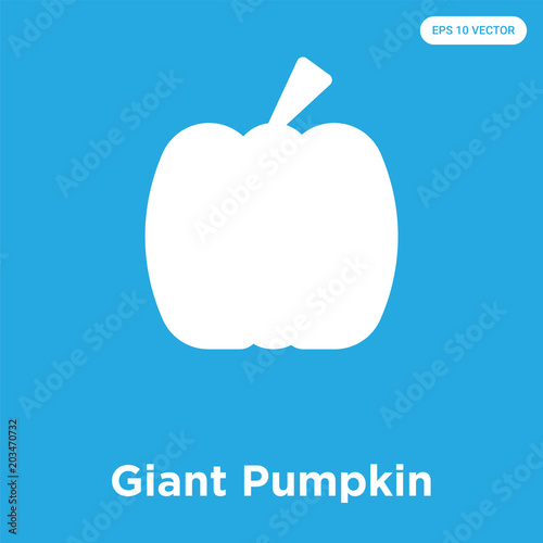 Giant Pumpkin icon isolated on blue background photo