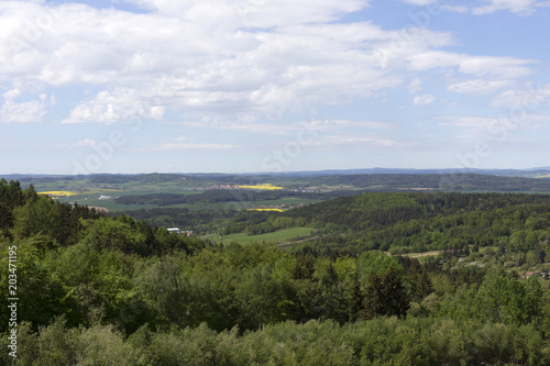 Clear green Forest from the spring Mountains in southern Czech, Czech Republic