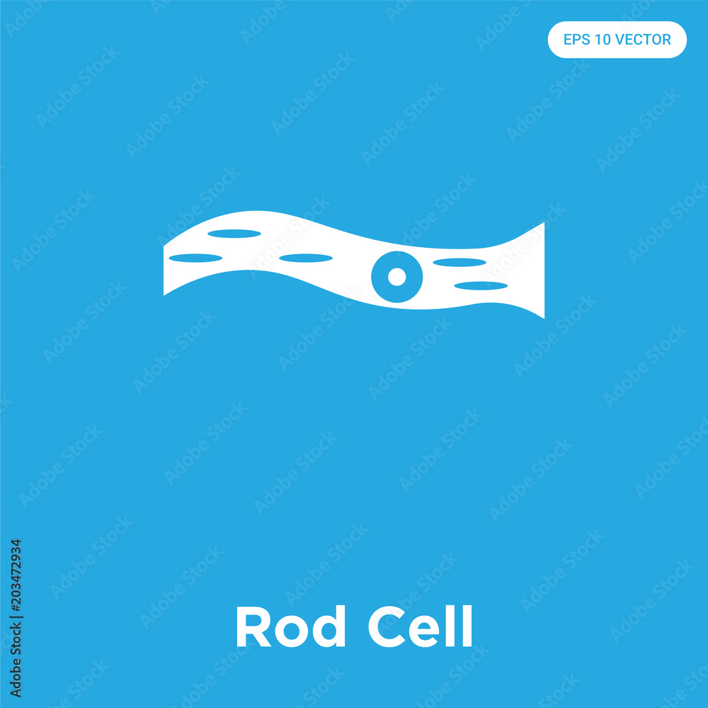 Rod Cell icon isolated on blue background