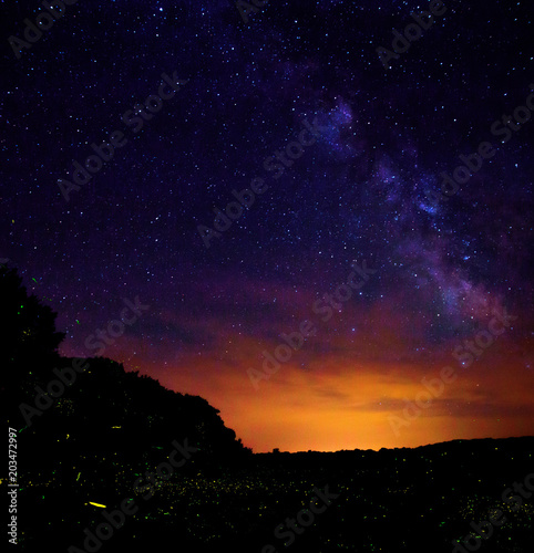 Long Exposure of Fire Flies in a Forest