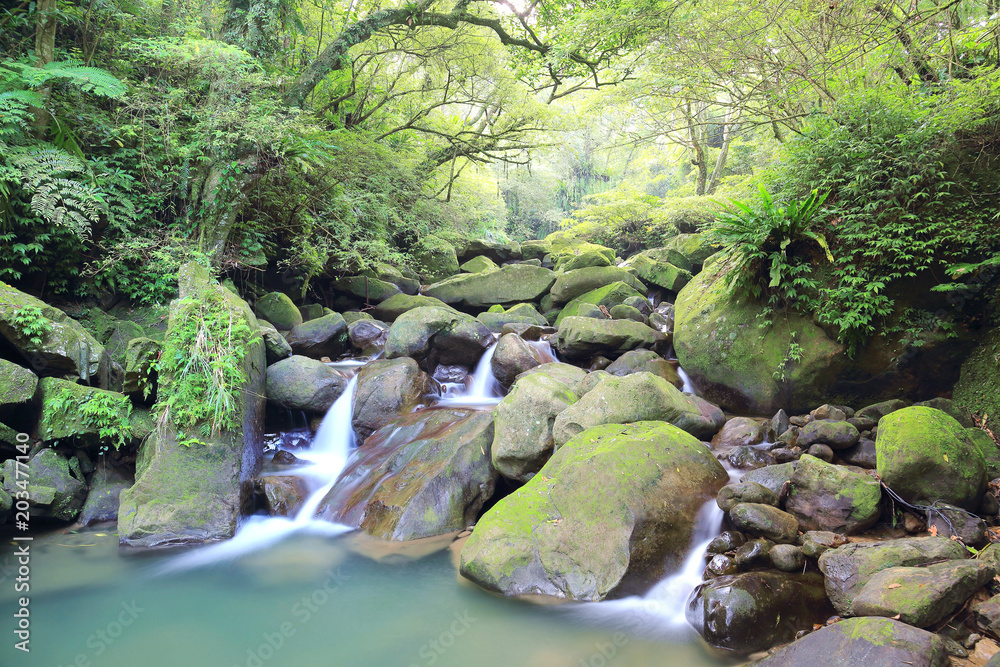 Refreshing cascades in a mysterious forest with sunbeams shining through the misty air in lavish greenery ~ Beautiful river scenery of Taiwan in springtime Refreshing cascades in a mysterious forest with sunbeams shining through the misty air in lavish greenery ~ Beautiful river scenery of Taiwan in springtime