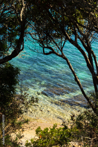 A wild beach with clear blue water, surrounded by trees, Corsica, France.