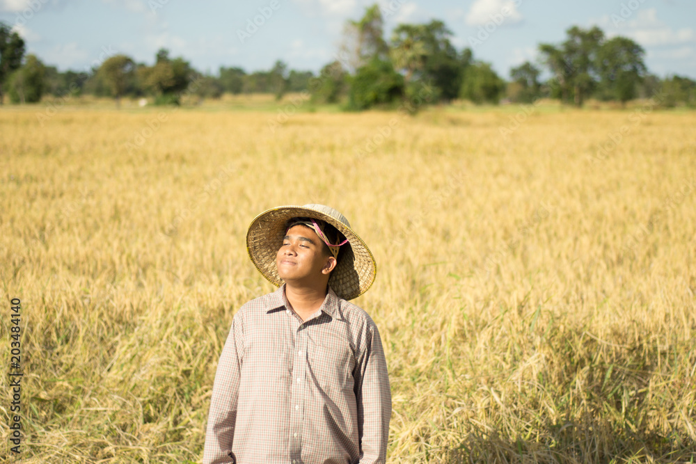 Brown Skin Farmer And His Rice Field Brown Skin Farmer And His Rice Field