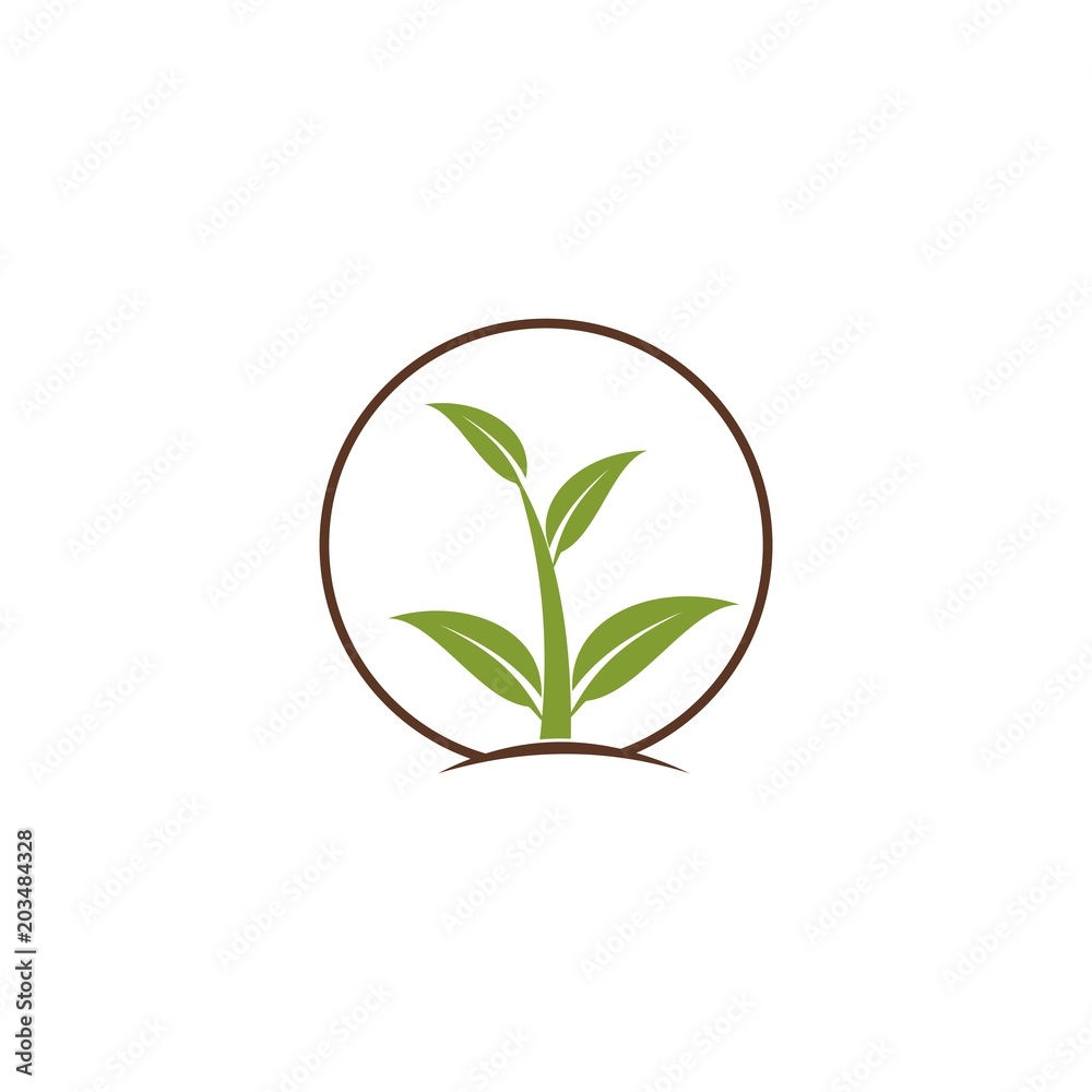 Green Leaf Icon Vector Illustrations, Abstract green leaf logo icon vector design. Landscape design, garden, Plant, nature and ecology vector logo. Green Leaf Icon Vector Illustrations, Abstract green leaf logo icon vector design. Landscape design, garden, Plant, nature and ecology vector logo.