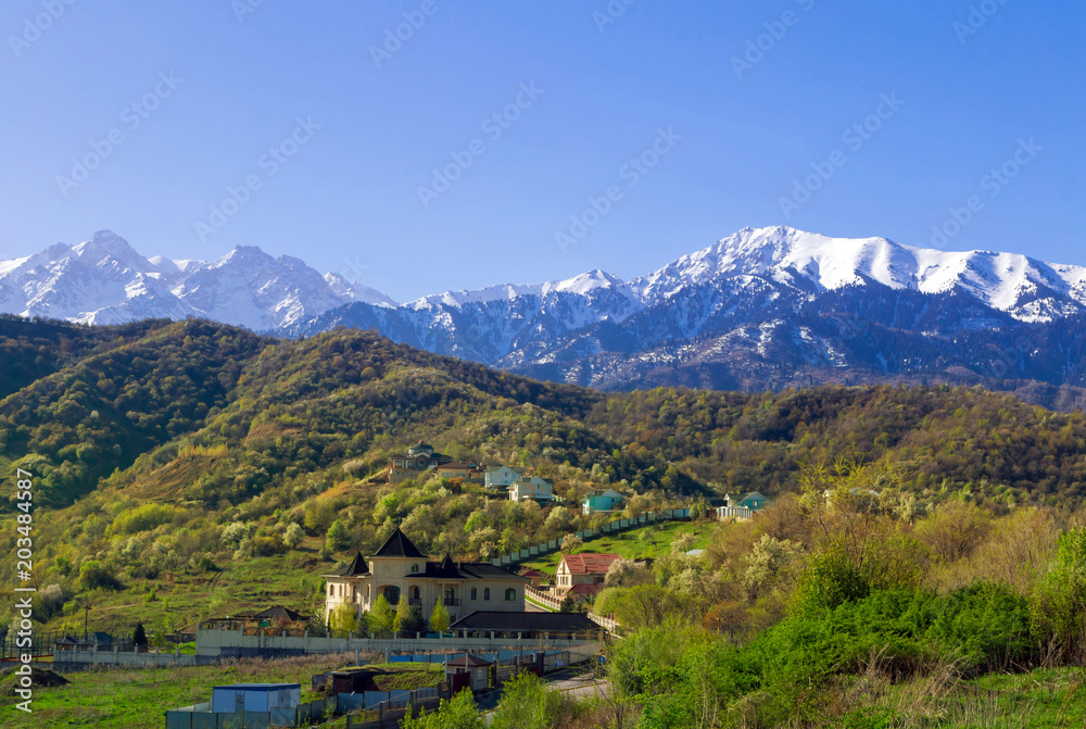 Green highlands in the morning, snowcapped mountains in the background. Spring rural landscape.