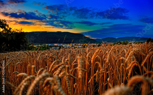 Nature