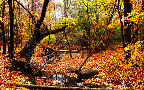 Nature