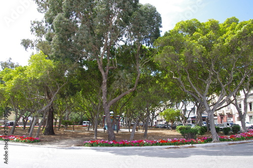 The park landscape in Malta