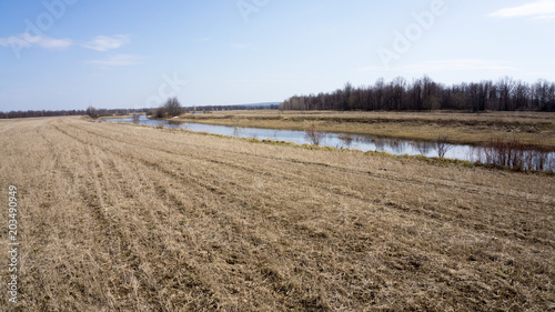 Water floated on dry last year`s grass meadow in spring, hills with gray forest without leaves, blue cloudy sky