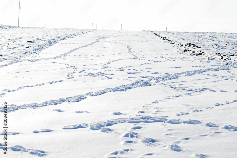 Footprints in the snow