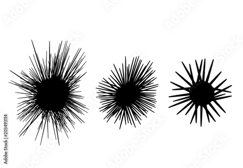 Set of Sea urchin icon in silhouette style, vector photo