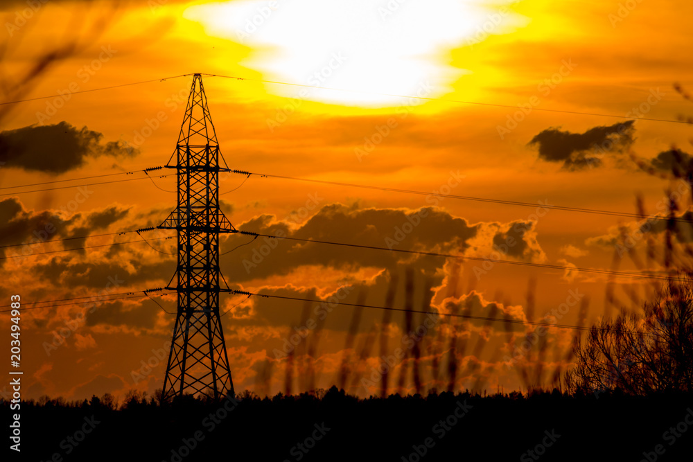 Orange sunset on the background of power lines
