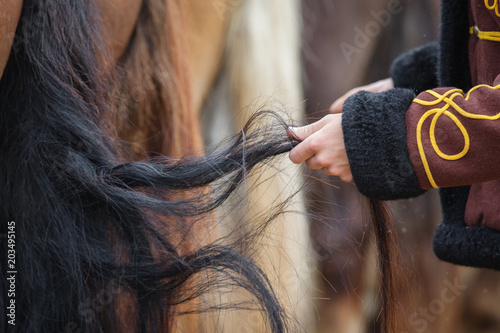 Foto Close up: hands grooming horse on the ranch
