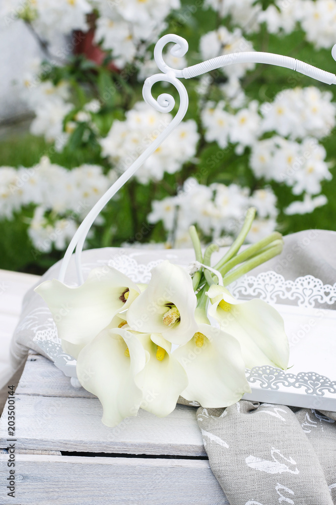 Bouquet of white calla flowers (Zantedeschia) in the garden Bouquet of white calla flowers (Zantedeschia) in the garden