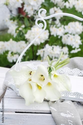 Bouquet of white calla flowers  Zantedeschia  in the garden