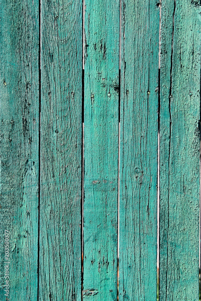 Fototapeta premium green aged wooden board