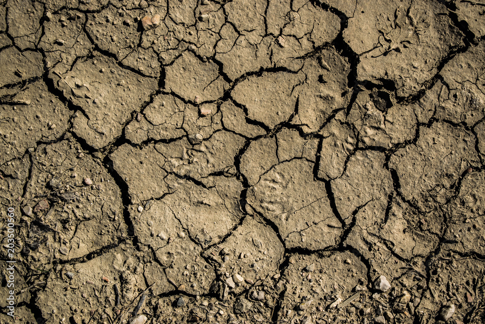 Terra bruciata e screpolata al sole Terra bruciata e screpolata al sole