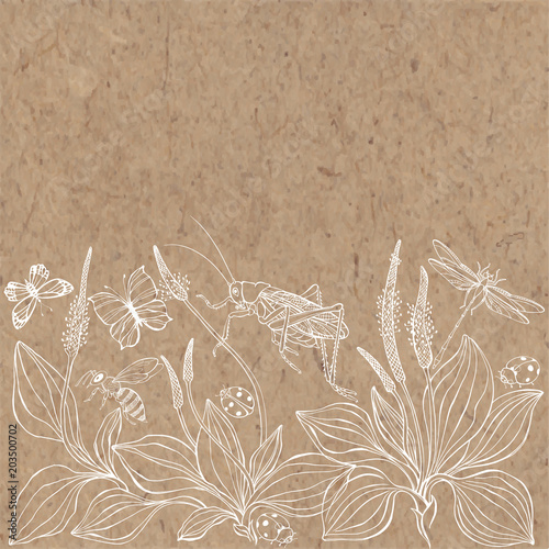 Floral vector background with plantain, insects and  place for text on kraft paper. Invitation, greeting card or an element for your design.