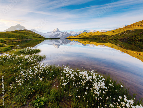 Great view of Bernese range above Bachalpsee lake. Location Swiss alps, Grindelwald valley.