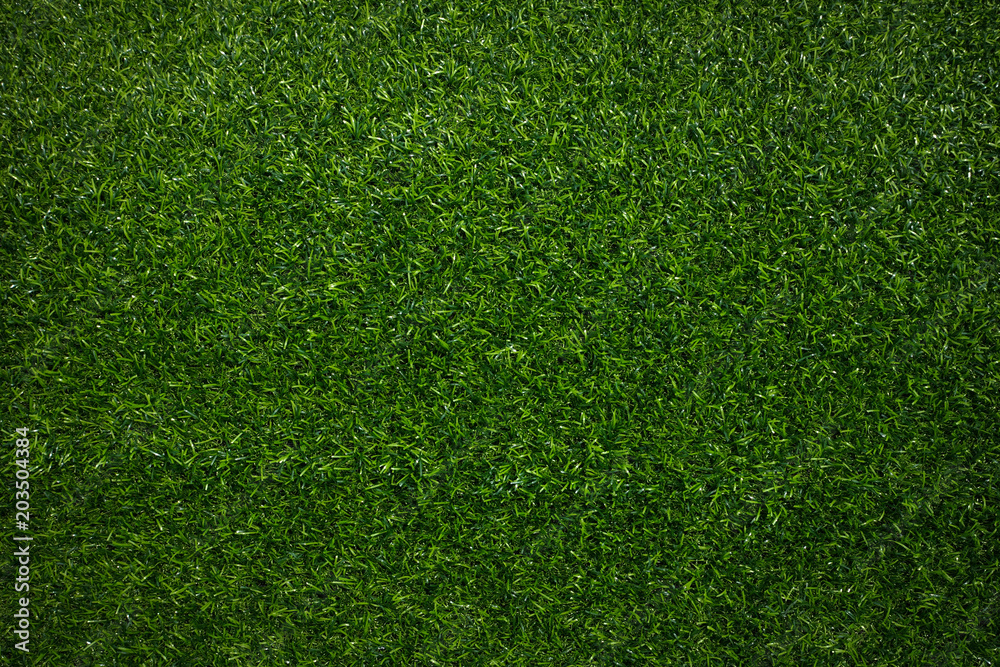 Fototapeta premium green grass background texture.