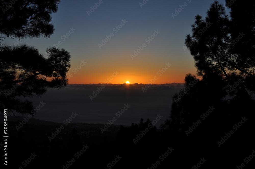 amanecer sol nubes pino canario canarias sunrise clouds pine trees colors morning tenerife islas canarias canary islands landscape cielo sky paisaje