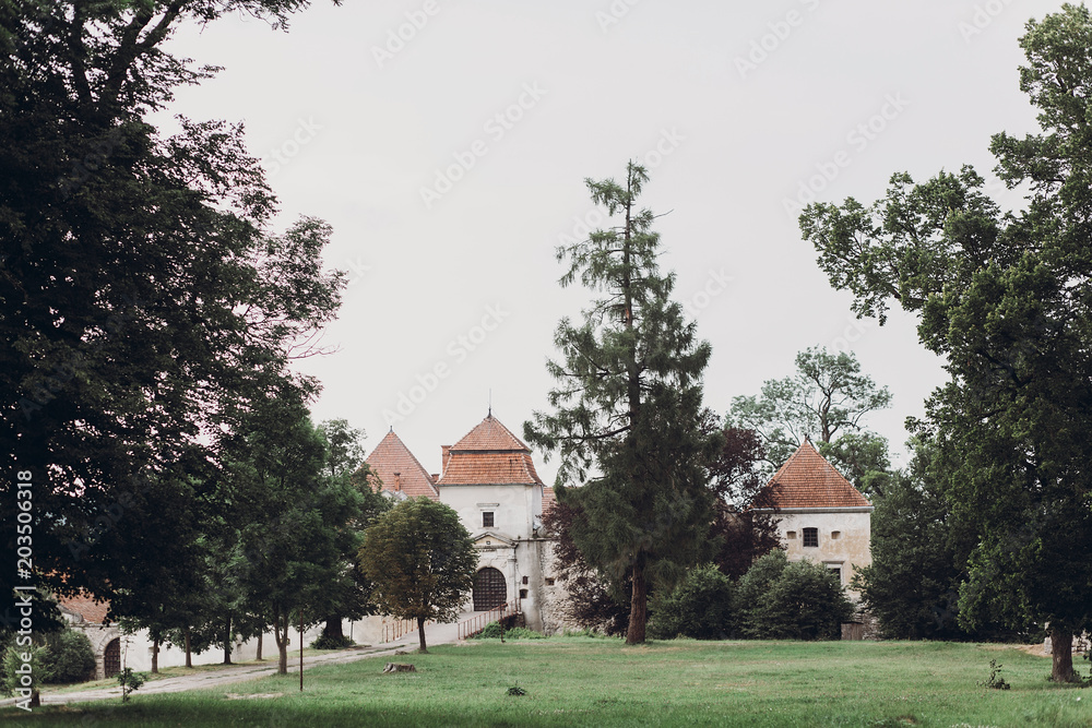 Ancient castle surrounded by nature, old ukrainian castle fortress with metal gate and towers Ancient castle surrounded by nature, old ukrainian castle fortress with metal gate and towers