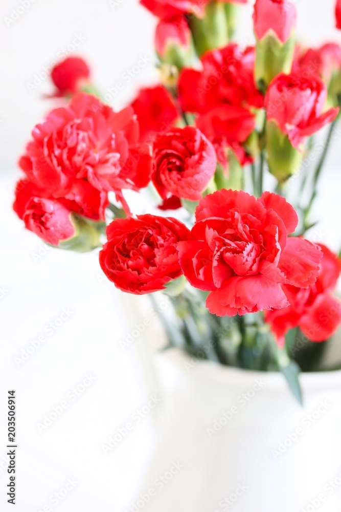 Obraz premium Bunch of Beautiful Red Carnation Flowers on White Background