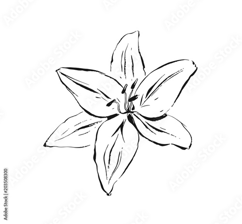 Hand drawn vector abstract artistic ink textured graphic sketch drawing illustration of lilly plant flower isolated on white background