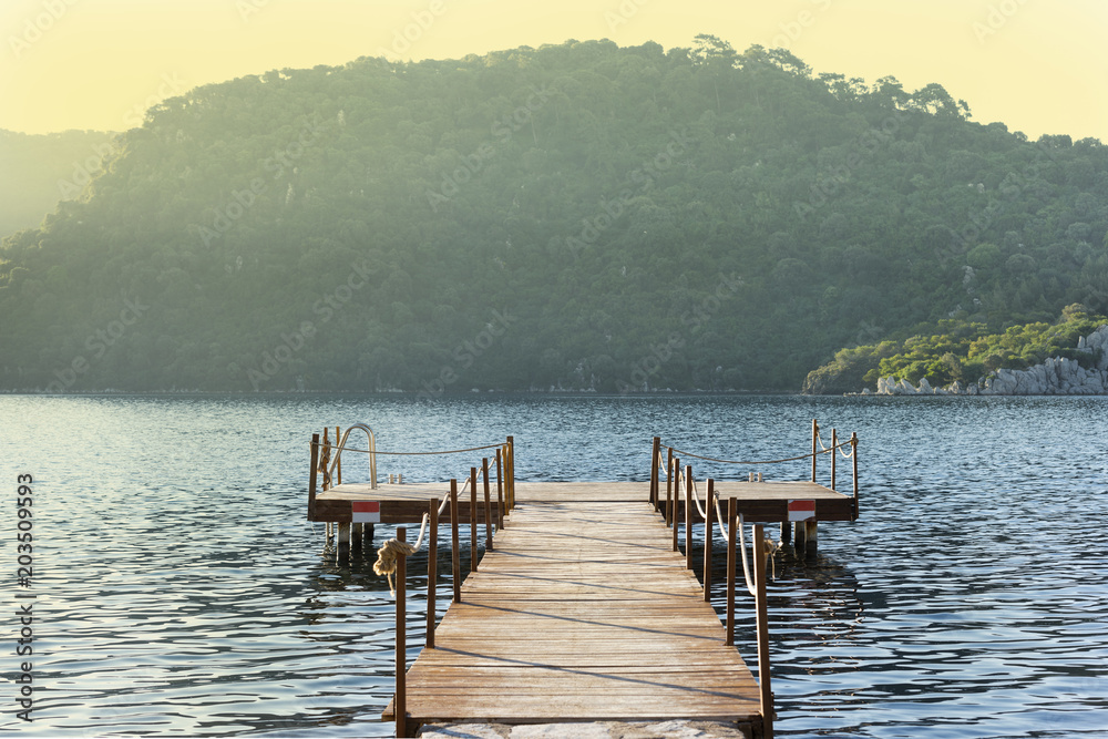  wooden pier in the sea