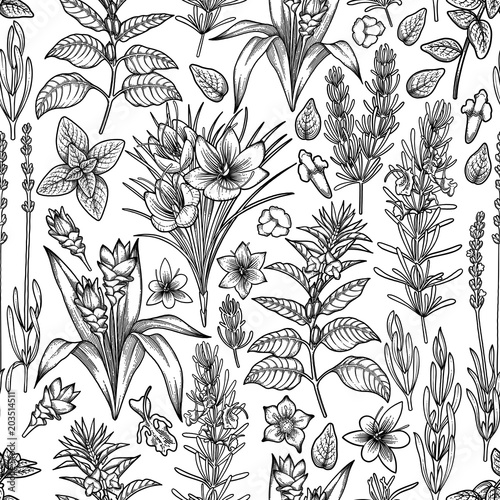 Graphic herbs and spices